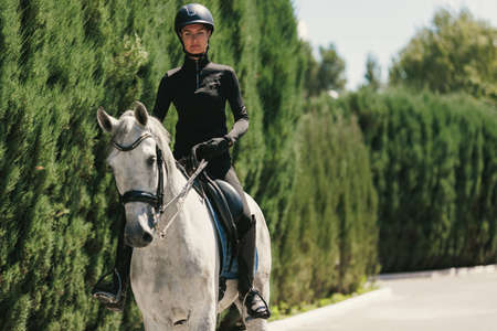 Equestrian sport. Portrait of young woman, female rider training at riding arena in summer day,...