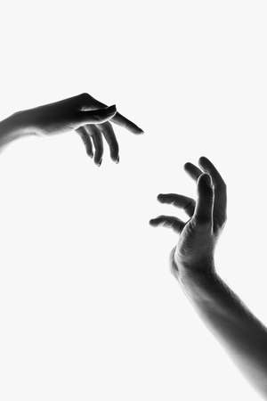 Monochrome image of beautiful hands in different motion isolated on white background. Concept of...
