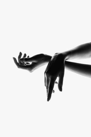 Tenderness. Monochrome. Authentic hands gesturing isolated on white background. Concept of feelings, community, care, support, symbolism, artの写真素材