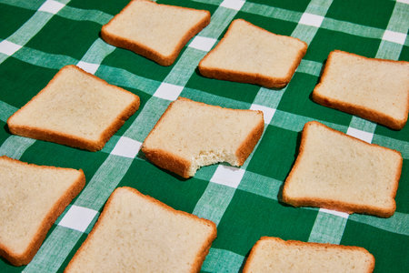 Choice. Original composition with uncooked bread toasts on plaid green and white tablecloth background. Vintage, retro style. Food pop art photography.の写真素材