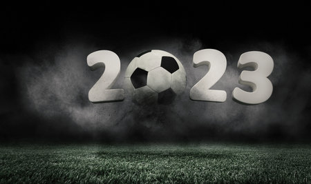 Soccer ball jumping on green grass of football field isolated on dark background with smoke. Concept...
