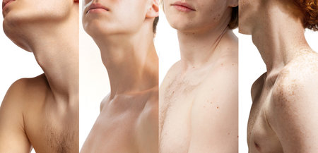 Collage. Cropped images of male neck and shoulders over white studio background. Diversity of males bodyの写真素材