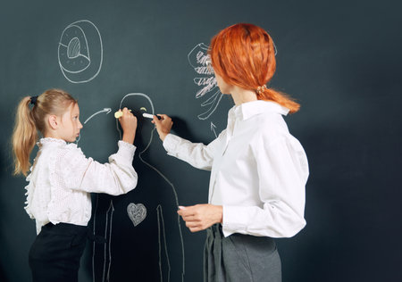 Girl, student of primary school standing at chalkboard with teacher and drawing human...
