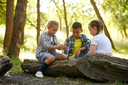 Children, boy and girl sitting on lo in forest on warm sunny day, playing, having fun, enjoying natureの写真素材