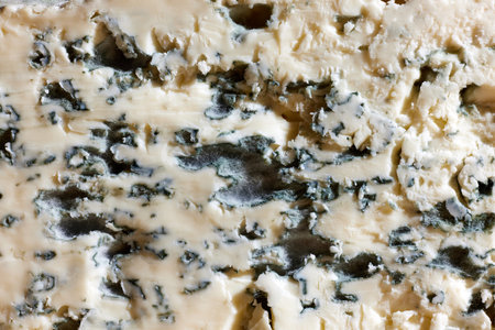Close-up image, texture of soft cheese, blue cheese, gorgonzola. Traditional taste. Cheese with moldの写真素材