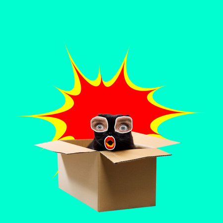 Big sales. Black cat with female eyes and mouth peeking out of box, expressing astonishment over green background. Contemporary art collage.の写真素材