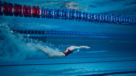 Underwater swimming. Young sportive girl in swimsuit training, practicing, swimming in pool. Speed and enduranceの写真素材