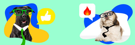Two dogs with glasses, speech bubbles with thumbs up and fire icons. Contemporary art collage. Working with user interactionsの写真素材