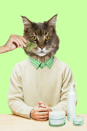 Relaxing treatments for cats. Cat having muzzle lifting massage with gua sha tool and skincare products on table. Contemporary art collage.の写真素材