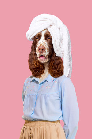 Spa and wellness centers focusing on pets. Purebred dog with bath towel on head standing on pink background. Spa. Contemporary art collage.の写真素材