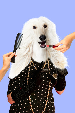 Elegant white dog in polka dot dress and pearls, getting makeup and hair done. Contemporary art collage. Luxury pet grooming salonsの写真素材
