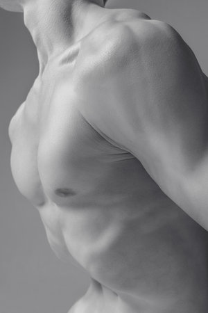 Monochrome Musculature. Close-up view of human body, male muscular torso highlights artistry of human anatomy. Athleticsの写真素材