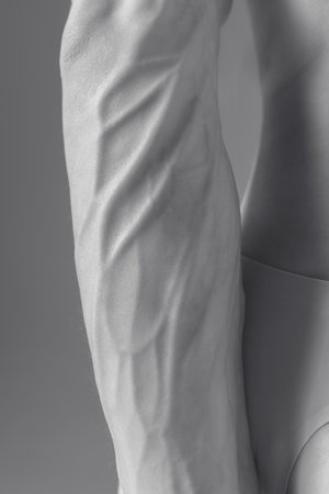 Monochrome image of male muscular body. Essence of physical fitness and biological beauty, this image explores the intricate details of a arm in tension.の写真素材