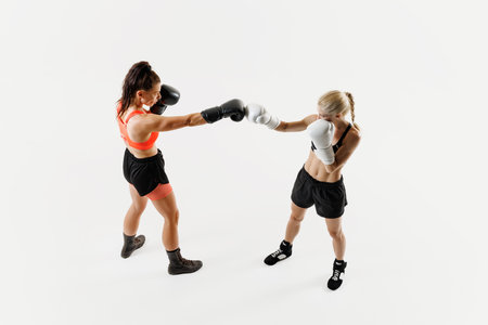 Start of fight. Two athletic women in sportswear, boxers holding fist to fist symbolizing start of training isolated on white backgroundの写真素材
