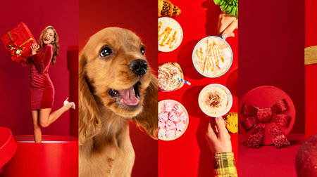 Collage. Happy young woman in red dress joyfully holding giant gift box, happy dog smiling, different cups with various drinks and red present boxの写真素材