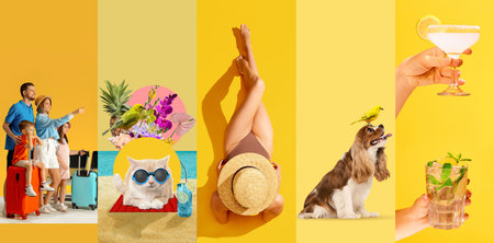 Collage. Family going on vacation, cool cat lying on beach, woman sunbathing in swimsuit, happy dog sitting with parrot, hand holding various cocktailsの写真素材