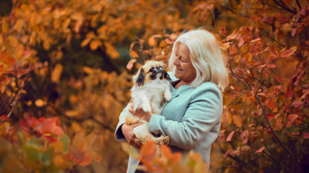 Elderly smiling woman walking with her little dog, standing against backdrop of warm autumn colors. Coziness and pet careの写真素材