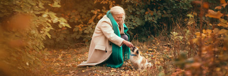 Happy elderly woman in cozy autumn outfit with coat and scarf, walking with her dog in picturesque park, feeding and playing with petの写真素材