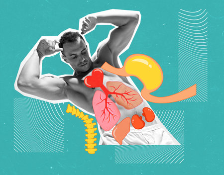Muscular man with internal organ illustrations on his torso, symbolizing physical health, fitness, and medical wellness. Contemporary art collage.の写真素材