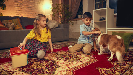 Boy and girl use stethoscopes and other medical instruments to examine their dog while playing on patterned carpet in cozy living room at homeの写真素材