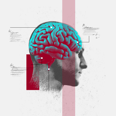 Artistic depiction of human brain in blue and red hues with scientific annotations. Neural activity and cognitive processes. Conceptual design.の写真素材