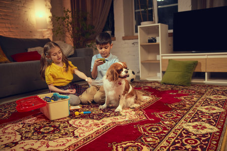 Children, copy and girl sitting on floor and home and playing with dog, pretending to be a vet doctors, putting bandage on petの写真素材