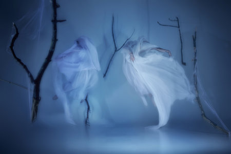 Phantom ballet duet dancing through light and shadow. Their movements blend with flowing veils,...