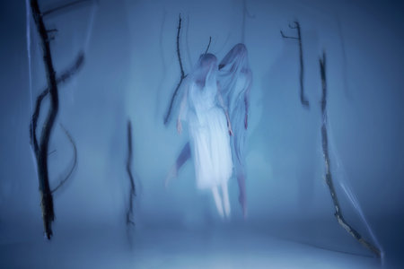 Phantom ballet dancer in mid-leap, caught in frozen waltz between reality and dream.