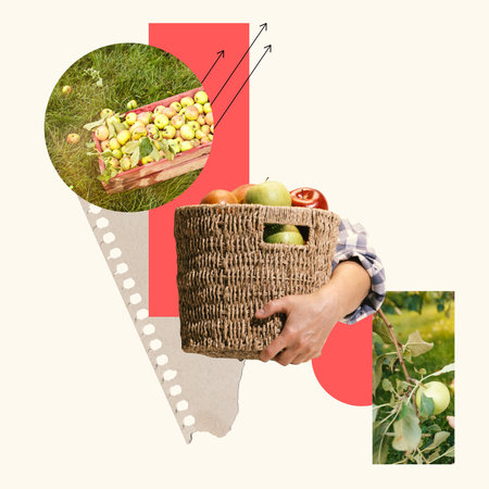 Hand carrying woven basket filled with fresh apples, fruit trees and geometric patterns on background. Contemporary art collage. Concept of organic farmingの写真素材