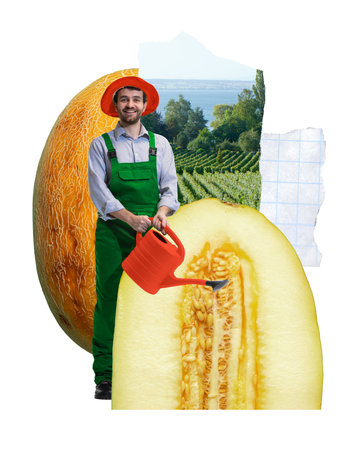 Smiling man, gardener with red hat watering massive melon slice in sunlit field. Modern collage art. Farmingの写真素材