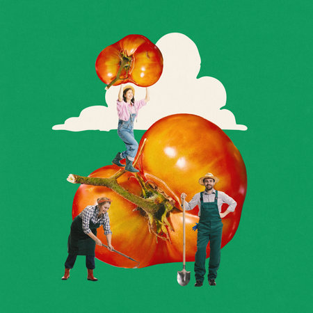 Three joyful farmers carefully growing tomatoes against green background. Contemporary art collage.の写真素材