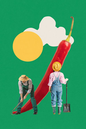 Creative and surreal illustration of oversized chili pepper and two tiny farmers interacting with vegetable. Contemporary art collageの写真素材