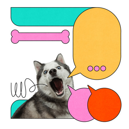 Excited husky opens mouth wide surrounded by colorful speech bubbles and dog bone icons in playful collage layout.の写真素材