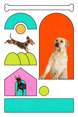 Various dog breeds including labrador and dachshund in playful geometric layout with bones and houses in surreal pop designの写真素材