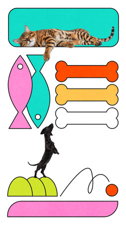 Bengal cat relaxes on teal shape while dog jumps for ball beside fish and bones in bold pet food layout.の写真素材