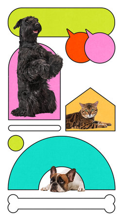 Giant schnauzer, bengal cat and bulldog in layout with houses, bubbles and curved elements. Contemporary art collage.の写真素材