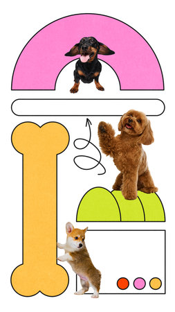 Joyful dogs, corgi and poodle play near giant bone and toy balls in colorful geometric poster. Contemporary art collage.の写真素材