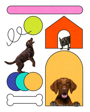 Various dog breeds in colorful geometric collage layout interacting with abstract elements.の写真素材