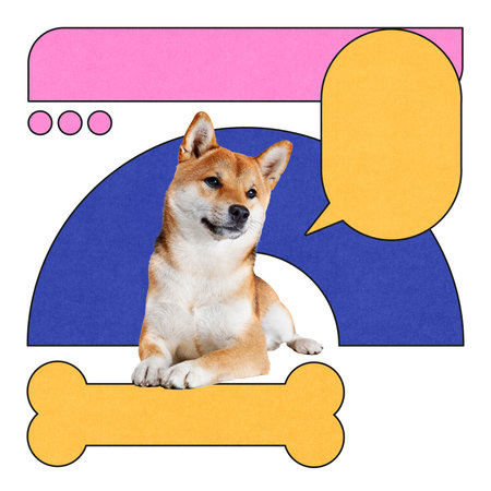 Shiba Inu dog in graphic collage with yellow speech bubble and abstract geometric shapes.の写真素材