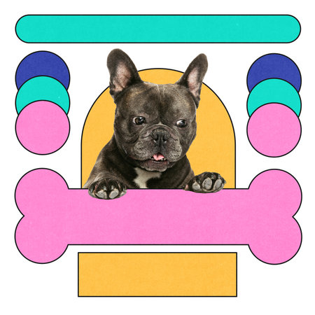 French Bulldog peeks over pink bone icon, centered within yellow arch, surrounded by stacks of multicolored geometric shapesの写真素材