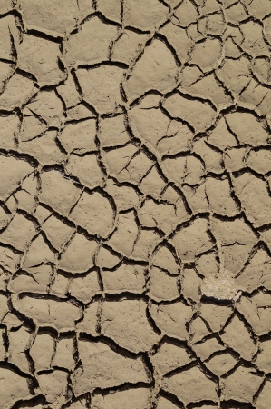 Abstract patterns design of macro texture dried clay の写真素材