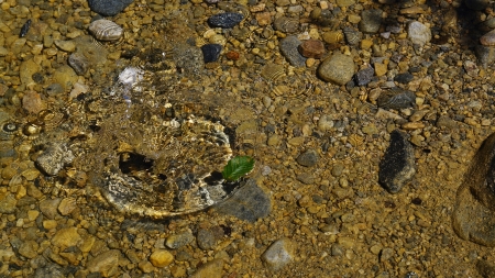 patterns and detail in water ripple, splash, submerged rocks and a leaf in creekの写真素材