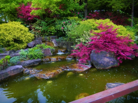 Serene landscape photo of Japanese botanical garden with still pond and colorful green and fuschia pink bushes, Nagoya, Japanの写真素材