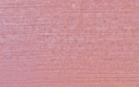 Rose red or pink colored cement concrete after several days of dryingの写真素材