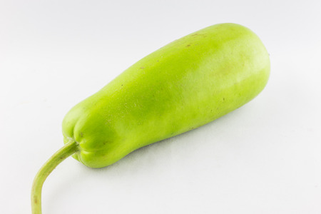 Bitter gourdの写真素材