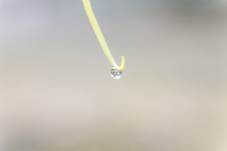 Water droplets