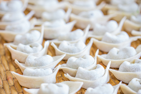 Dumplingsの写真素材