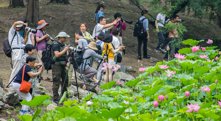 Photographerのeditorial素材