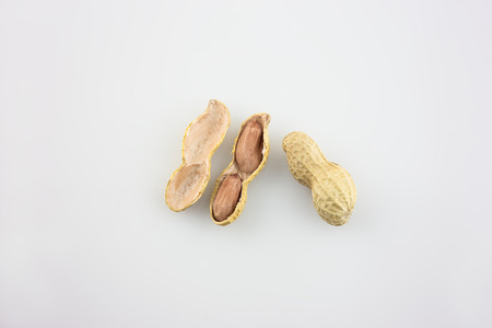 Peanut