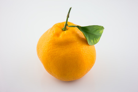 Close up to an orangeの写真素材